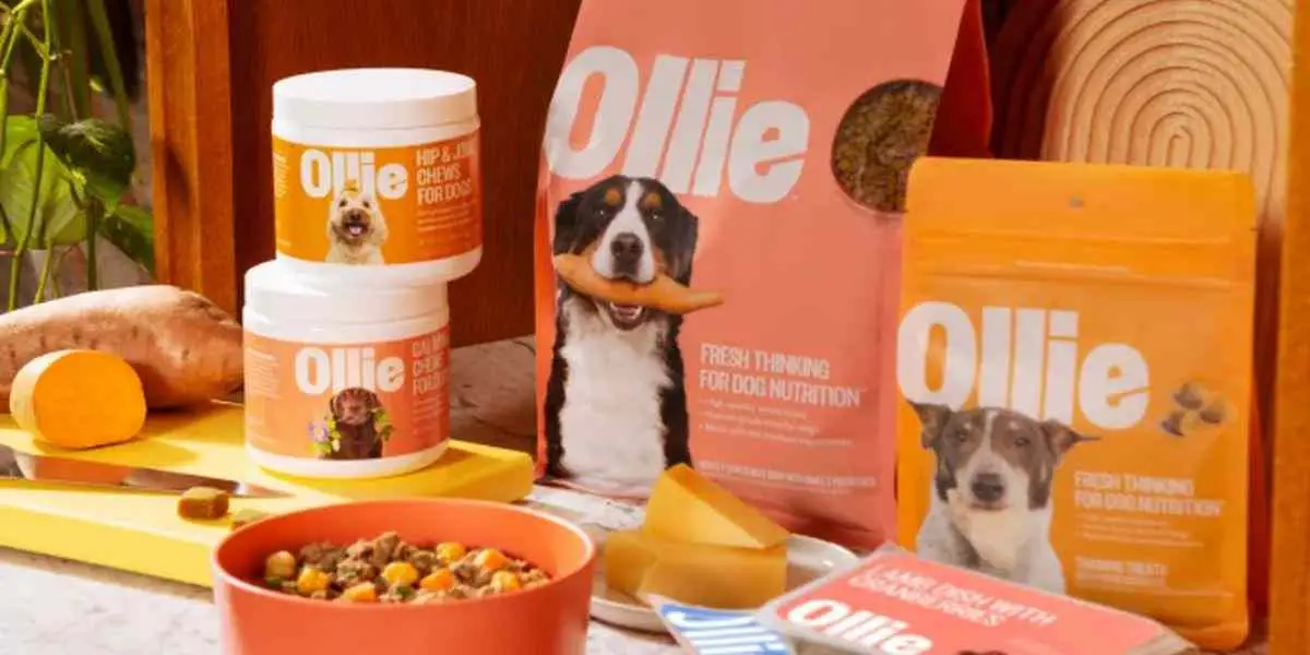 Ollie Pet pet Food Delivery Near Me